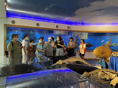 五月廣州科普一日游回顧 漫游神奇自然 感受地質(zhì)變遷